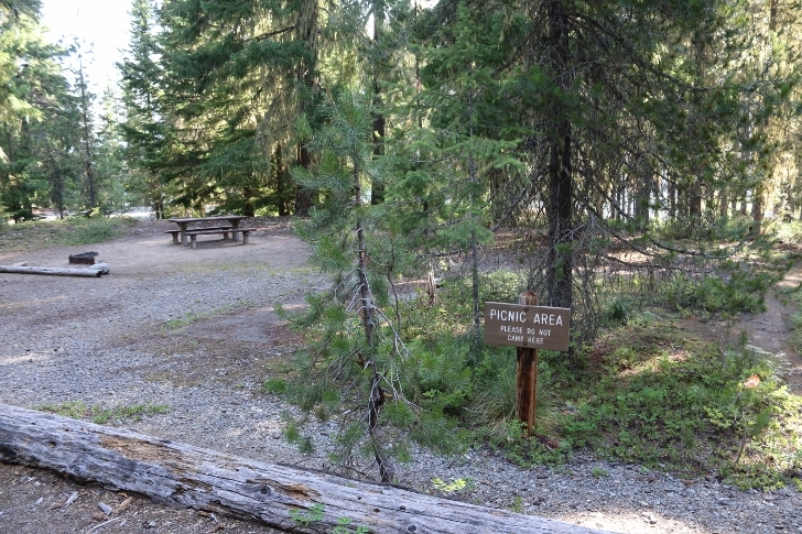 Camping in Washingtons Kachess Campground.